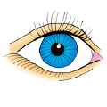 Preventivní screeningové vyšetření zraku