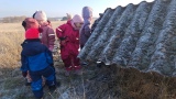 Obrázek v galerii