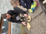 Obrázek v galerii