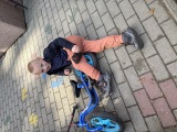 Obrázek v galerii