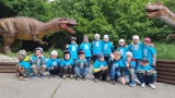 Sovičky mezi dinosaury - DINOLIVE Praha_pokračování